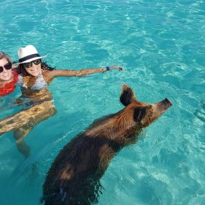 https://islandtreasurehuntbahamas.com/wp-content/uploads/2018/09/0f8a6aba-2d55-43ef-a058-fbcc62a4e6d1-300x300.jpeg
