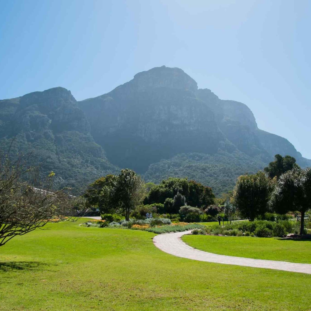 https://islandtreasurehuntbahamas.com/wp-content/uploads/2018/09/tour-capetown-03-1280x1280.jpg