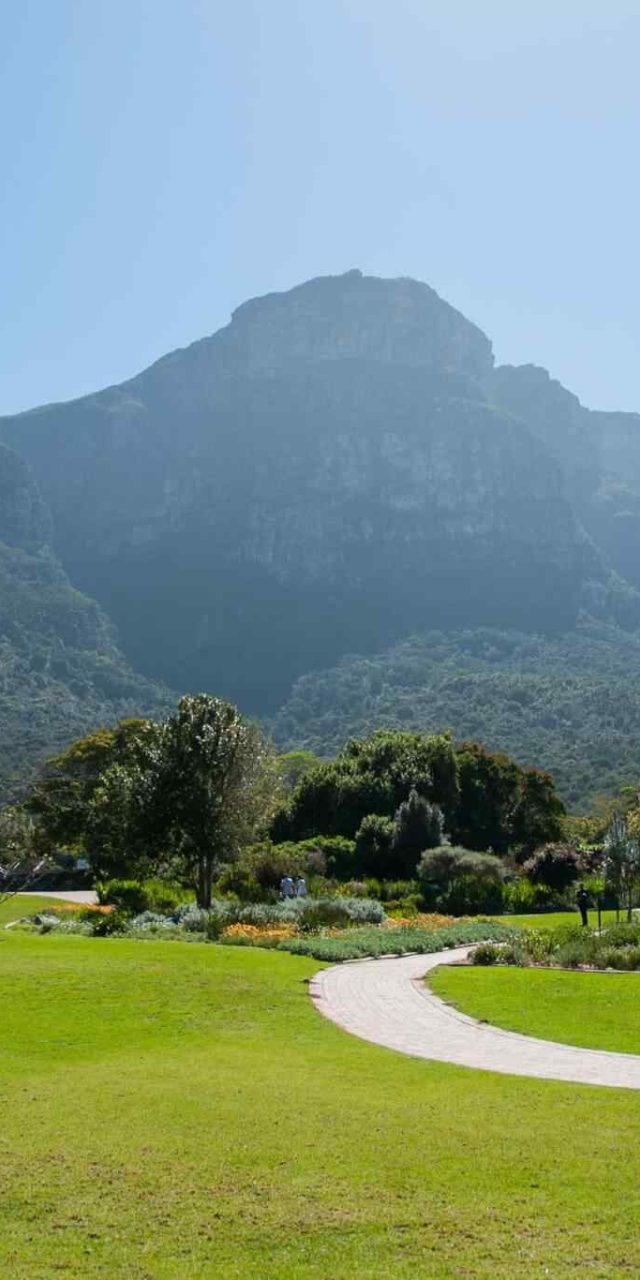 https://islandtreasurehuntbahamas.com/wp-content/uploads/2018/09/tour-capetown-03-640x1280.jpg