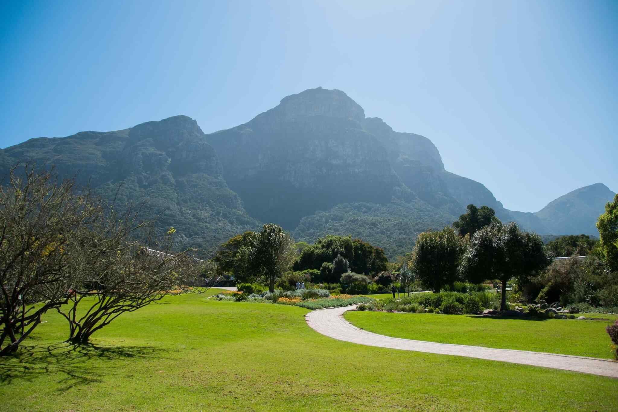 https://islandtreasurehuntbahamas.com/wp-content/uploads/2018/09/tour-capetown-03.jpg